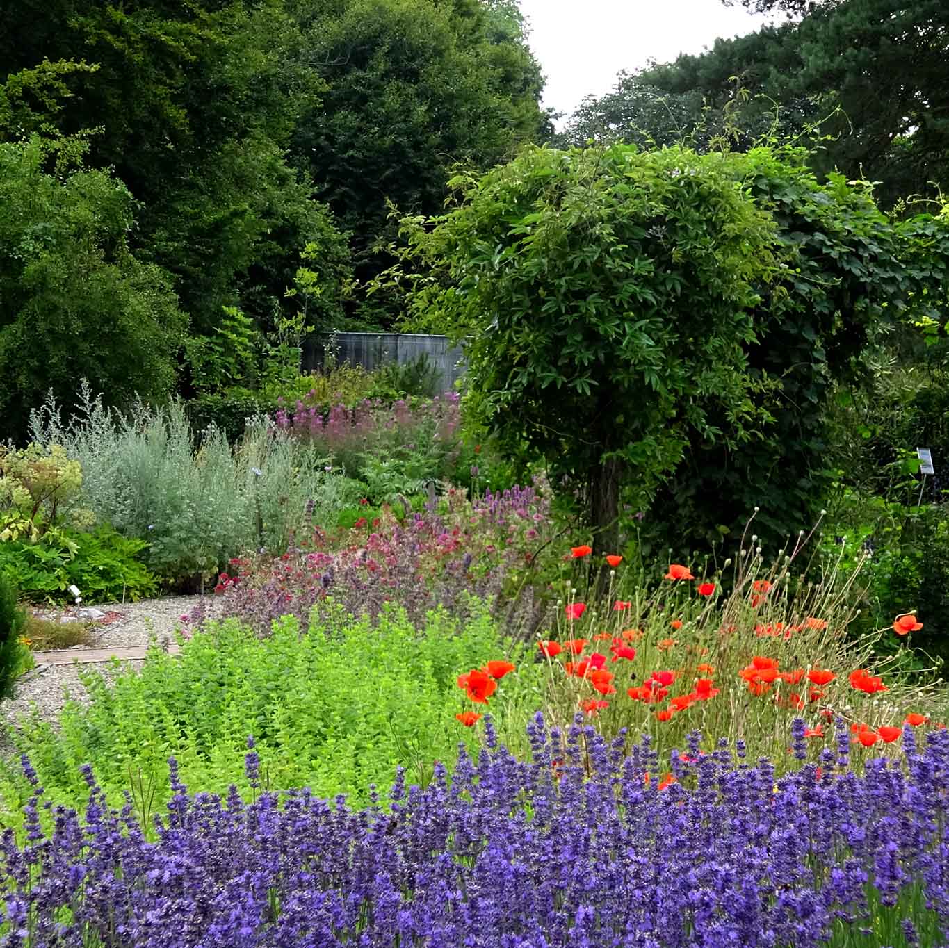 Botanischer Garten der Universität Kiel ein Landschaftspark Wiesenwohl