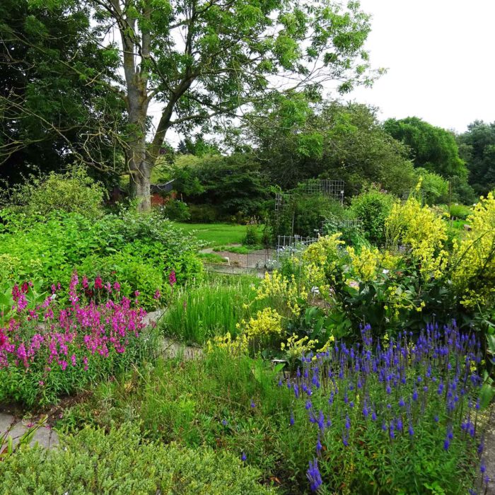 Thematisch gegliedert sind die Pflanzeninseln des Botanischen Gartens in Kiel. Wie es sich für eine Universität gehört.