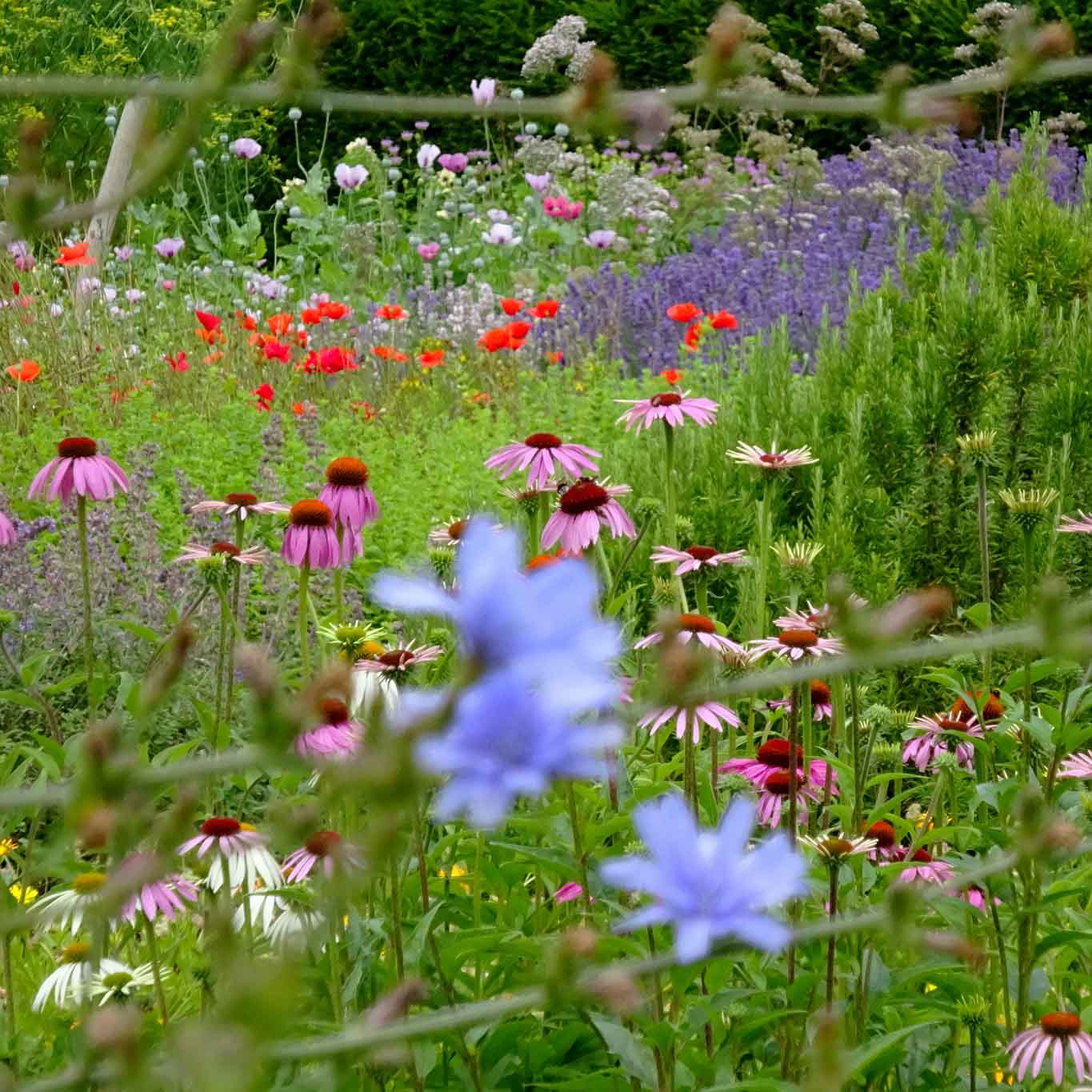 Botanischer Garten der Universität Kiel – ein Landschaftspark