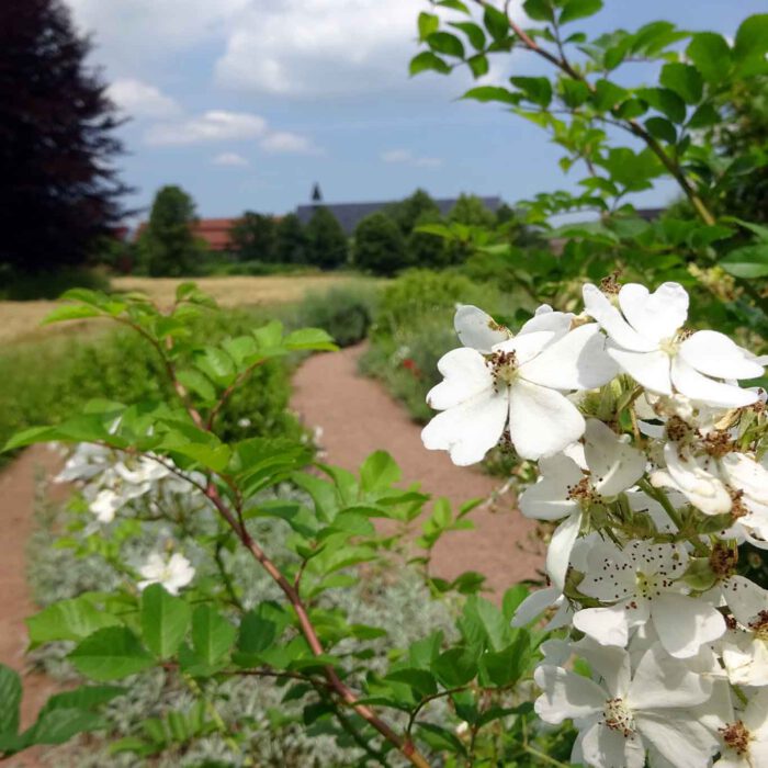 Wer im Labyrinth die Orientierung verliert, kann sich immer wieder am Kloster Helfta neu ausrichten.