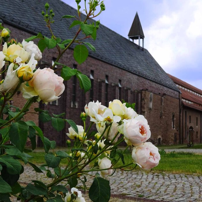 Helfta ist ein Kloster inmitten eines Klostergartens.