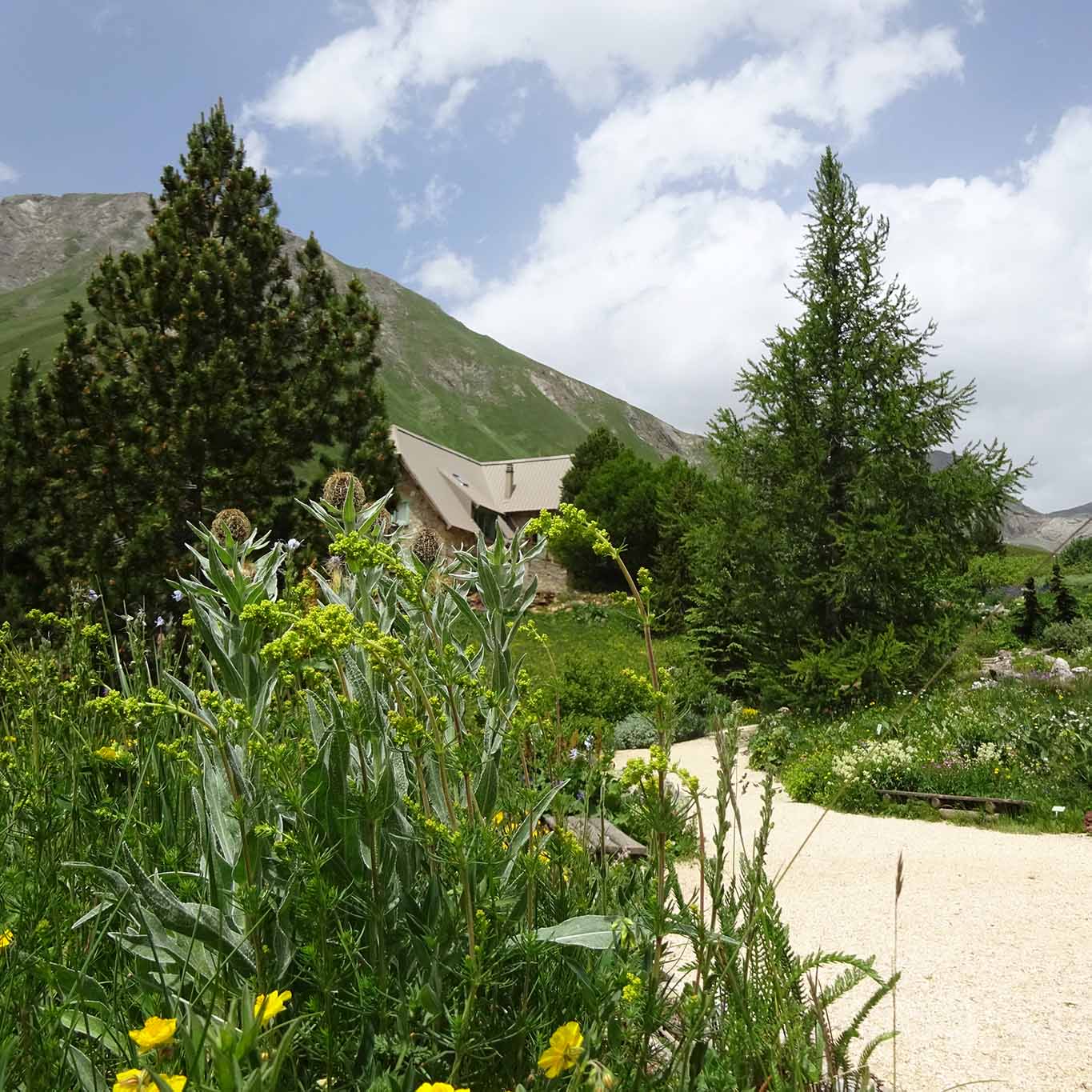 Wie Berghütten schmiegen sich die Institutsgebäude in die Gartenlandschaft.