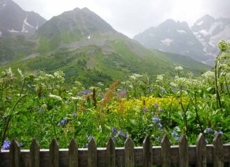 In einer malerischen Bergkulisse ist der Jardin botanique du Lautaret eingebettet.