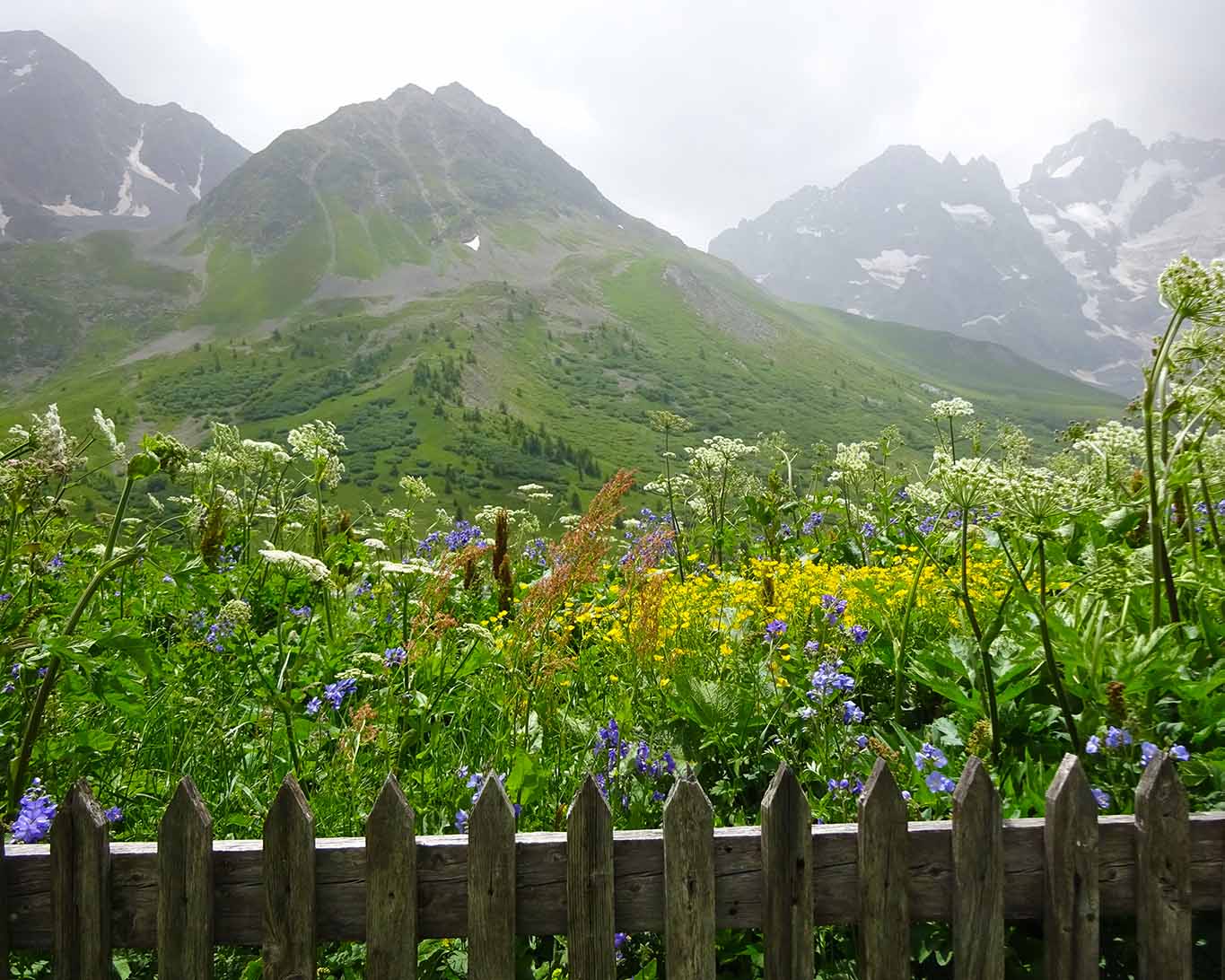 In einer malerischen Bergkulisse ist der Jardin botanique du Lautaret eingebettet.