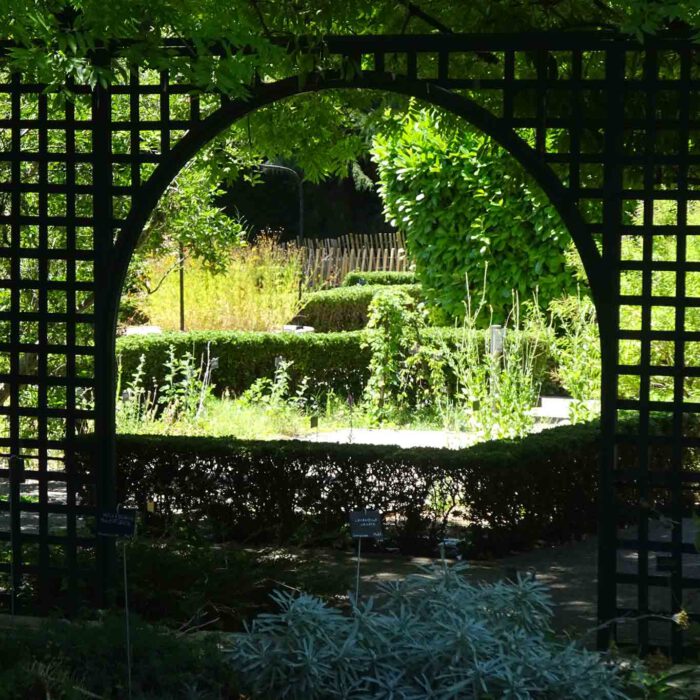 Le jardin des plantes médicinales: die Bepflanzung orientiert sich an Pflanzen des Mittelalters.