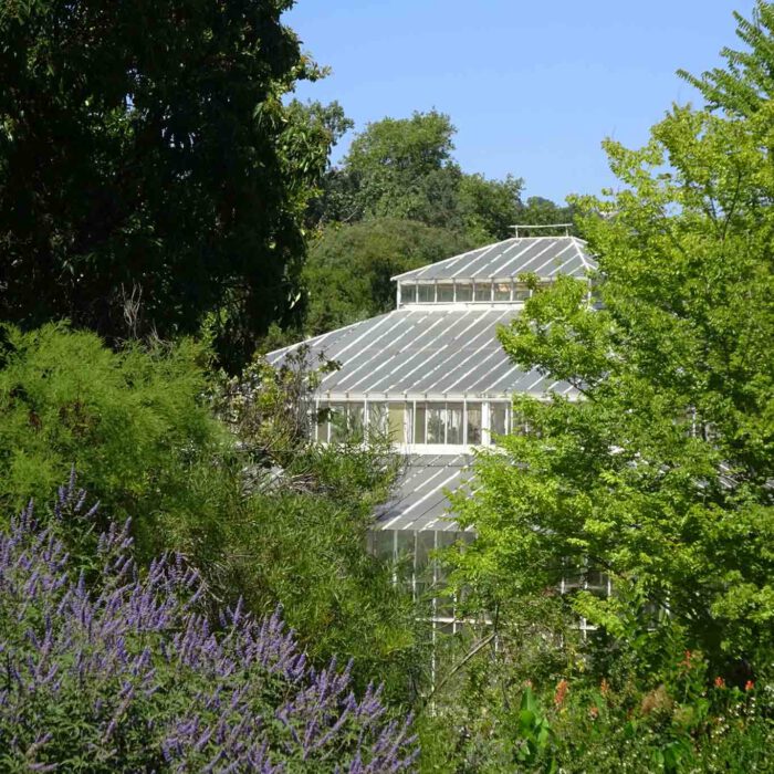 Blick aufs Gewächshaus des Botanischen Gartens von Marseille.