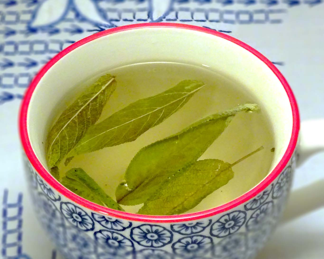 Das Salbeibonbon in flüssiger Form: der Salbeitee.