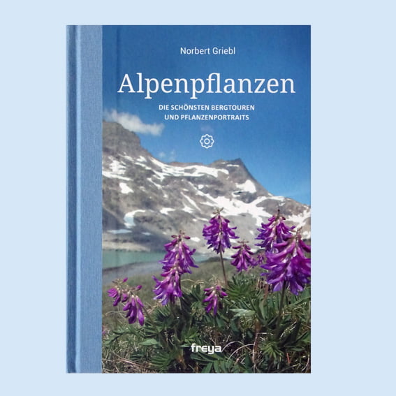 Norbert Griebl: Alpenpflanzen - Freya Verlag