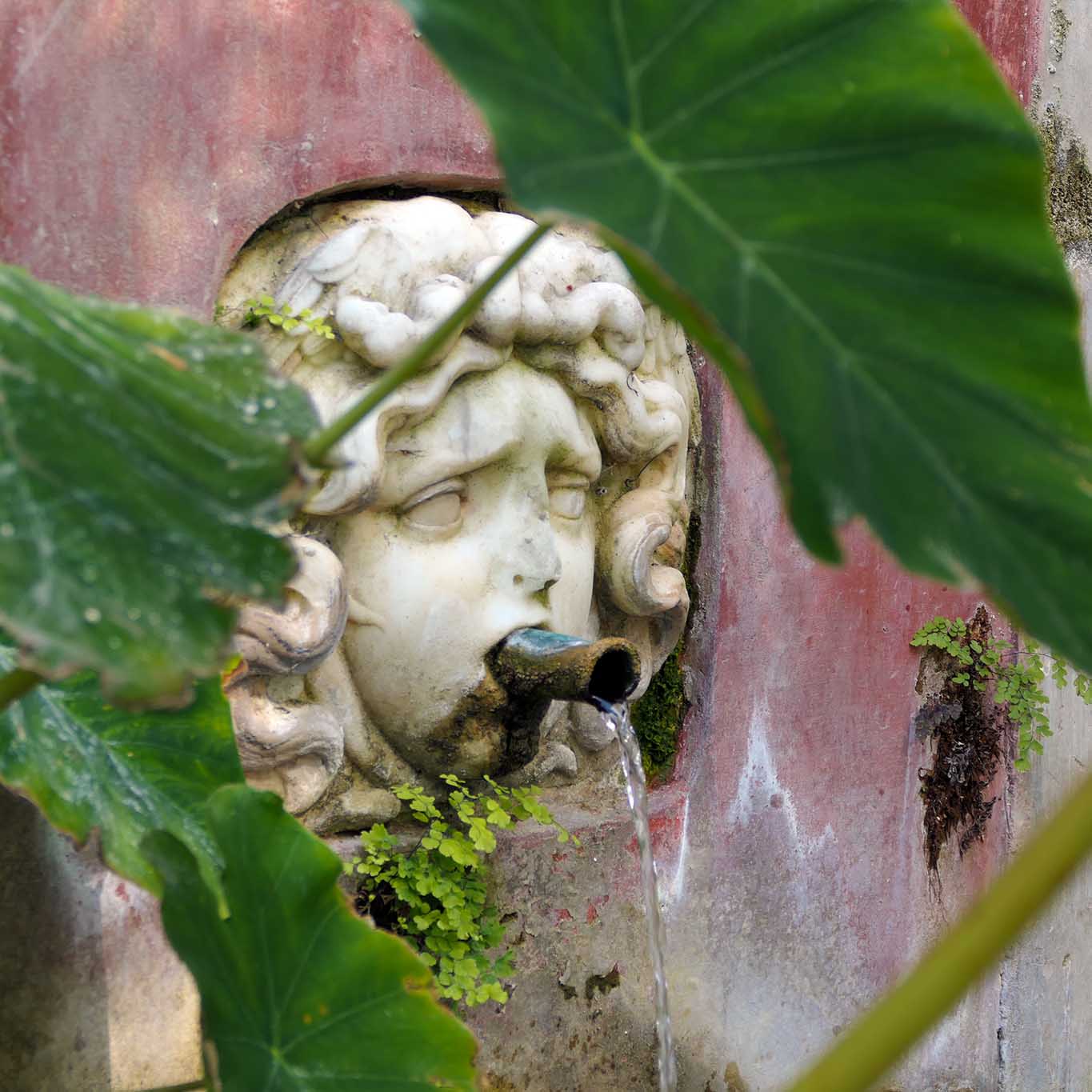 Minerva mit Wasserzigarre