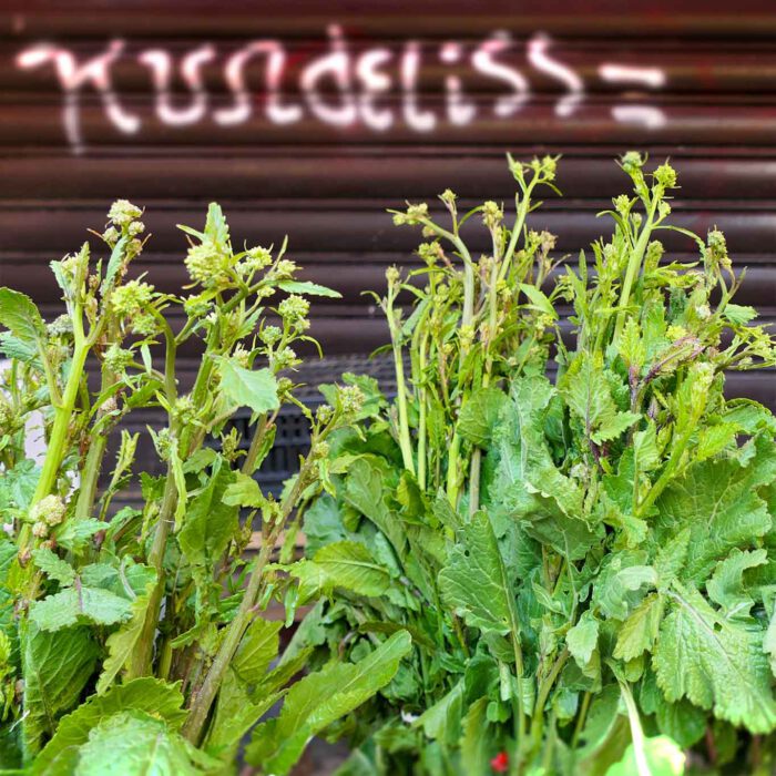 Frische Rauke in Bündeln auf dem Markt in Catania angeboten.