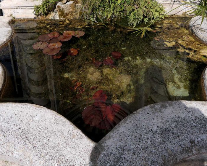 Spiegelungen in einem Wasserbecken