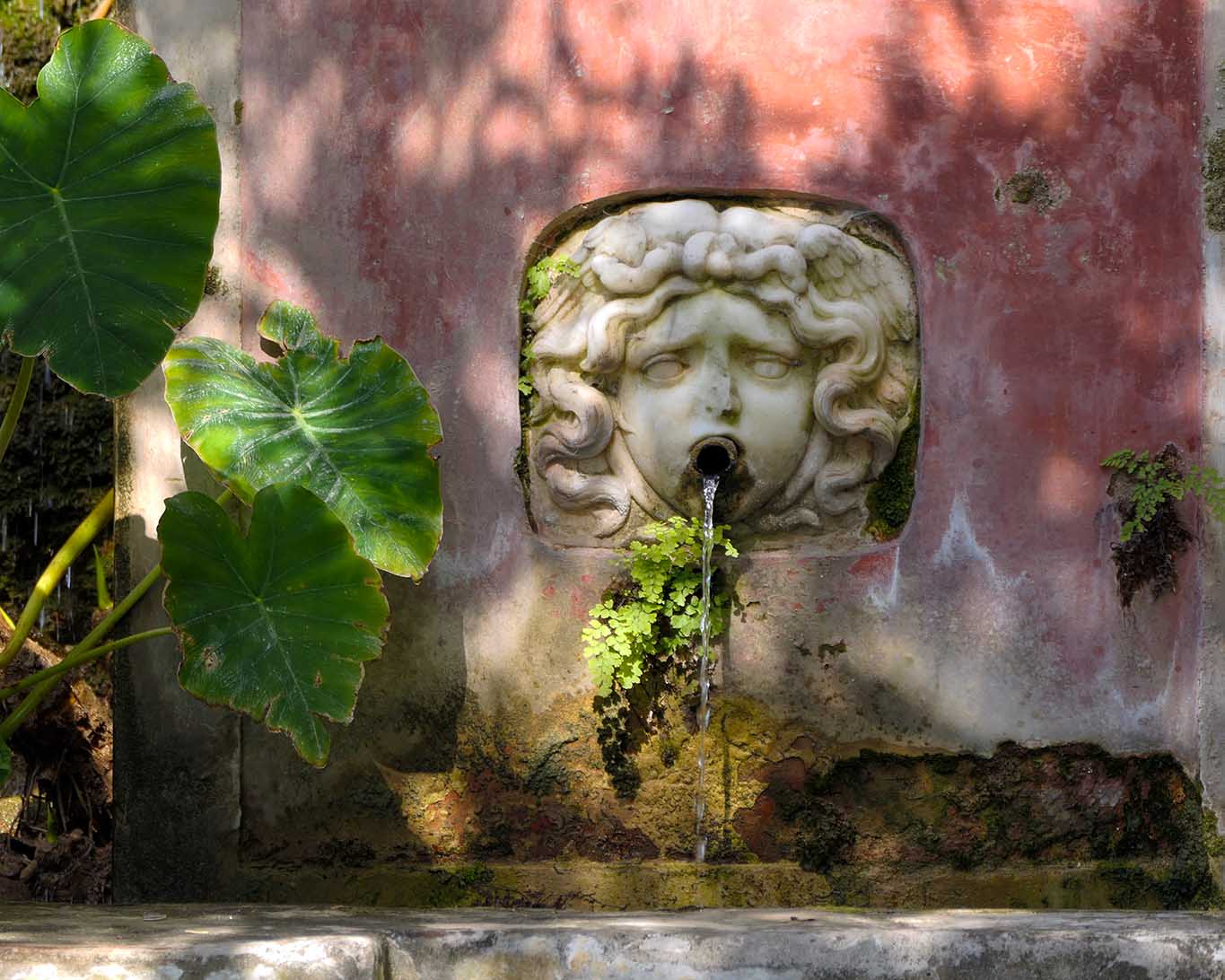 Ewig plätschernde Minerva. Das Wasser rinnt aus ihrem Munde direkt in die Bassins des Gartens.