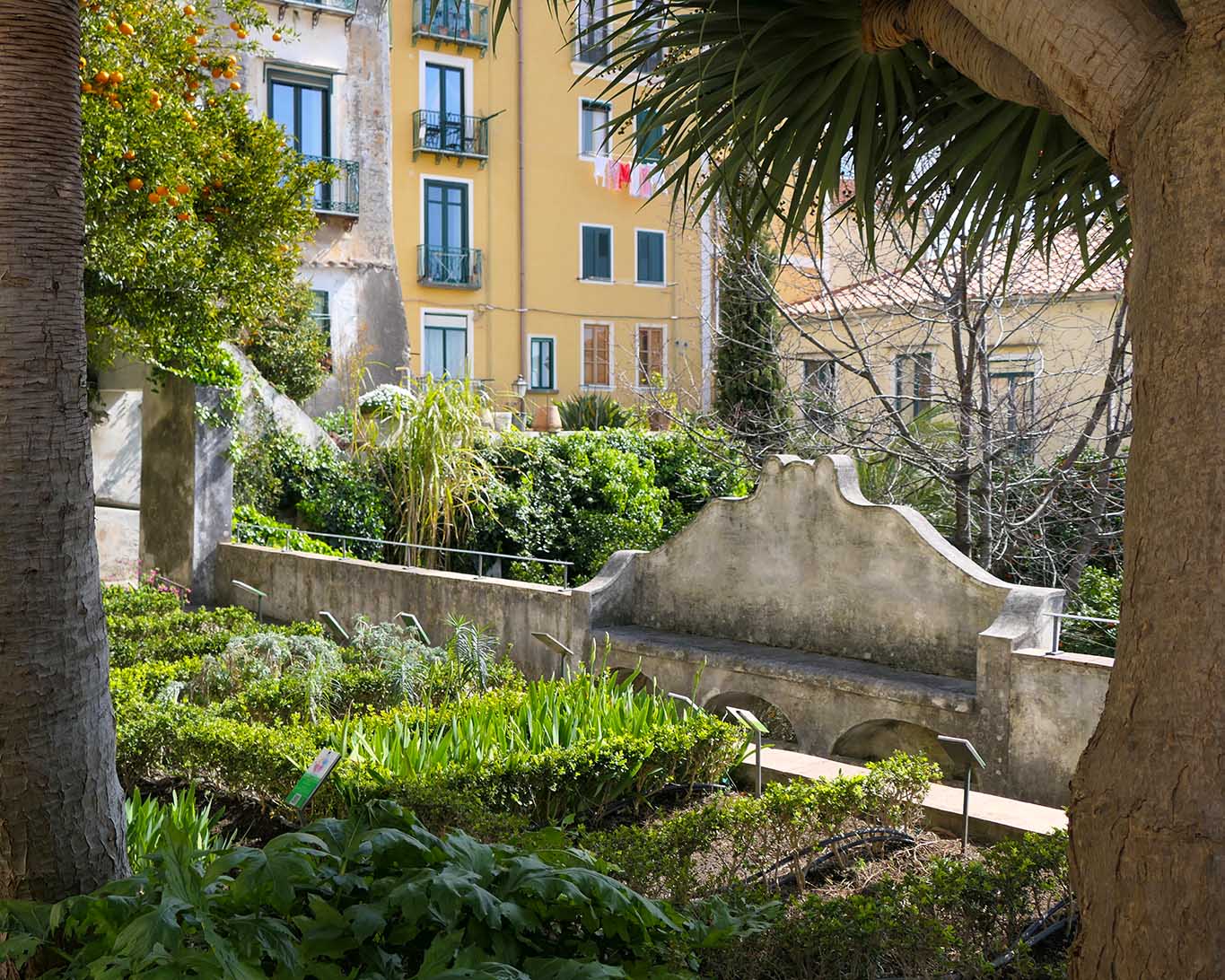 Umrahmt wird der botanische Garten von Wohnhäusern.