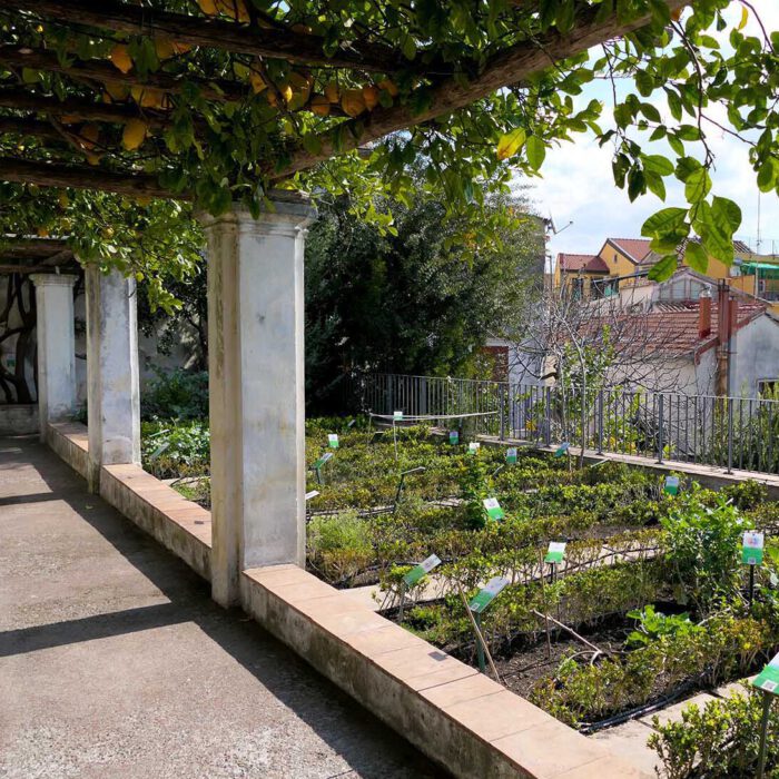 Pergola und Terrassenbeete im Giardino di Minerva