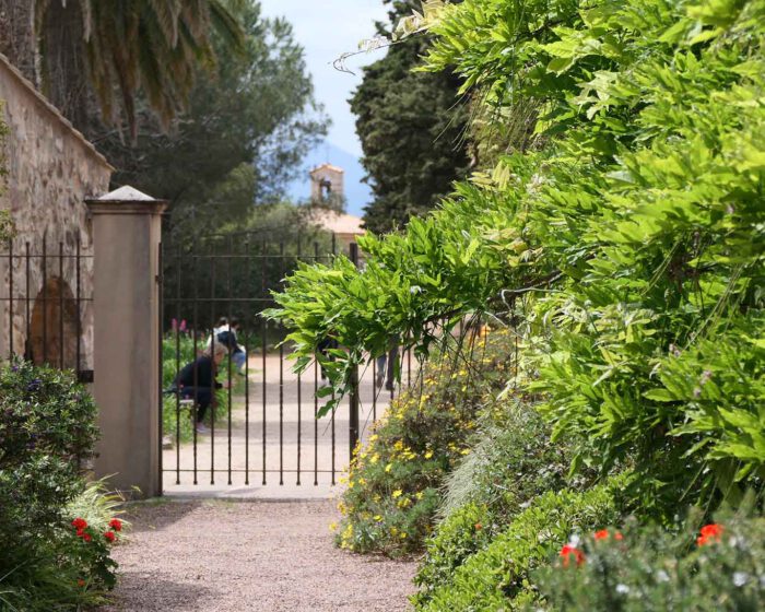 Die Fluchten der Wege bieten interessante Perspektiven auf der Klosterinsel Saint Honorat.