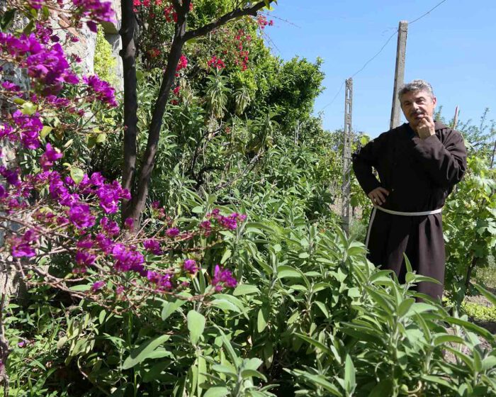 Padre Renato in Betrachtung des Echten Salbeis (Salvia officinales)