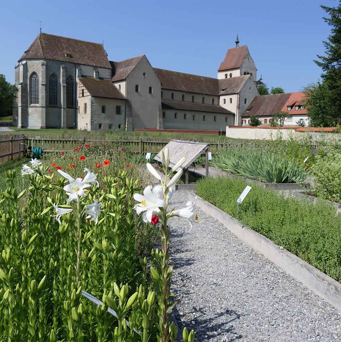 Walahfried Strabo empfahl Holzlatten als Begrenzungen für die Beete im Klostergarten.