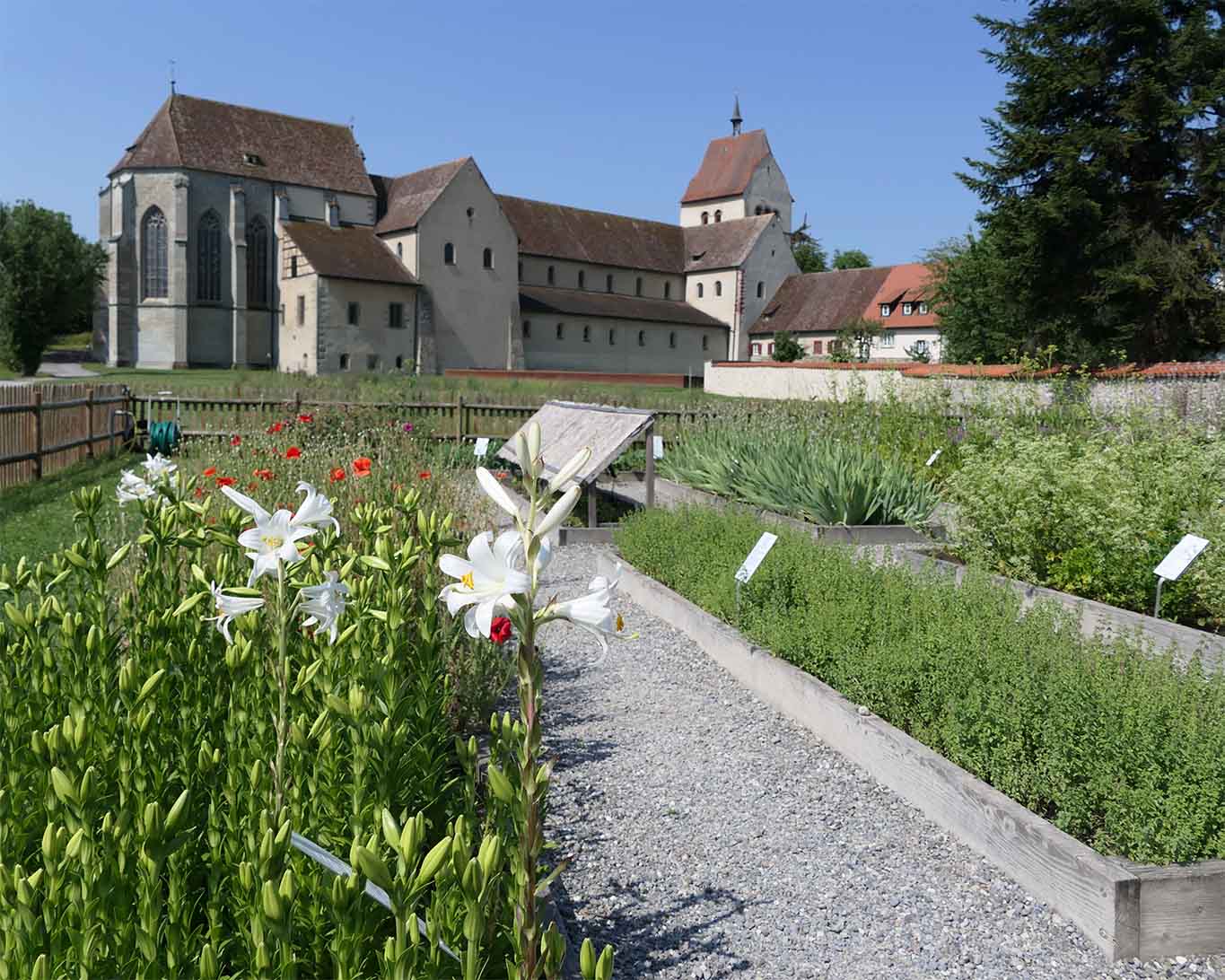 Walahfried Strabo empfahl Holzlatten als Begrenzungen für die Beete im Klostergarten.