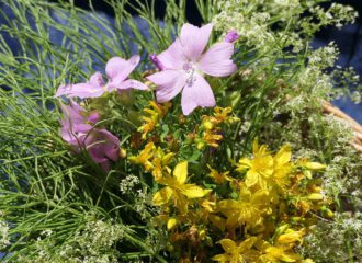 Kräutersammelkorb Juli mit Schachtelhalm, Malve, Labkraut und Johanniskraut