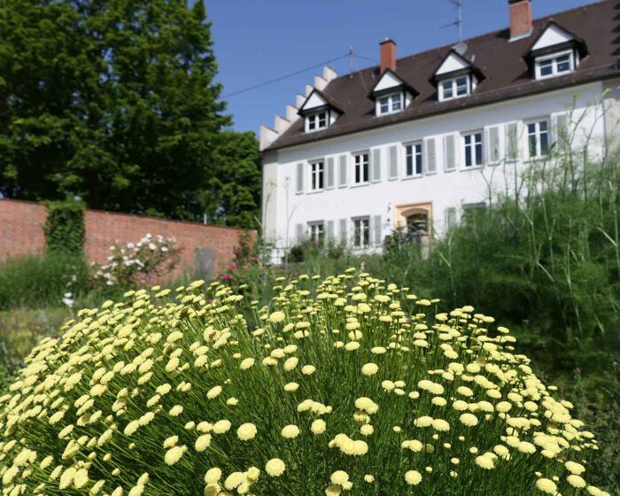 Blick aufs Pfarrhaus aus dem Garten