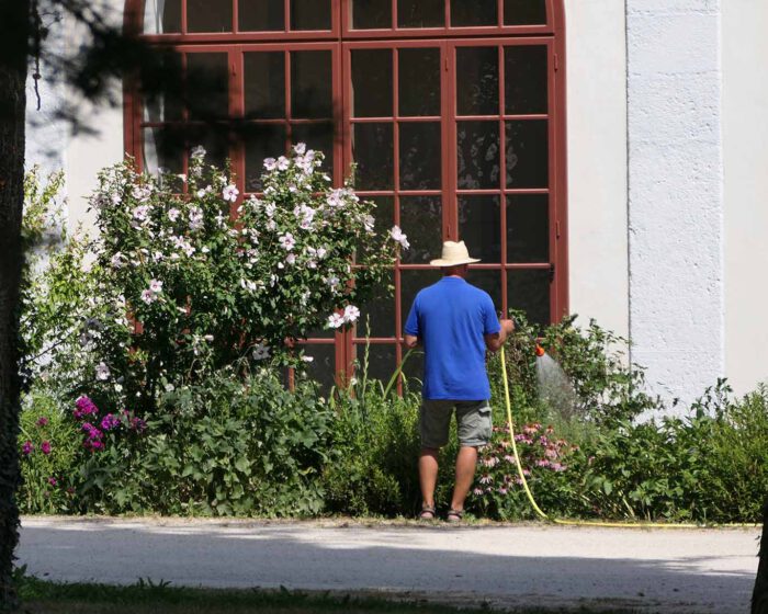 Gärtner pflegen die Beete am Feigenhaus, Europas ältestes Gewächshaus.