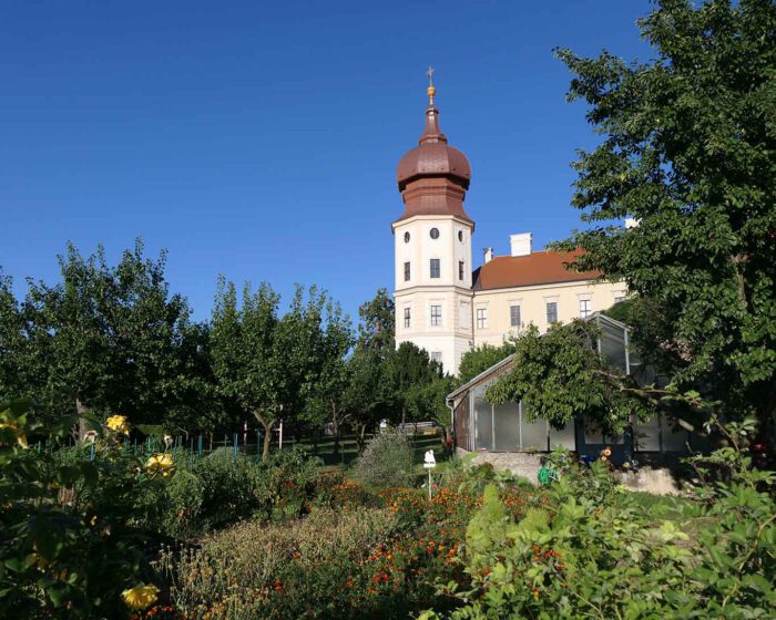 Blick in den Stiftsgarten