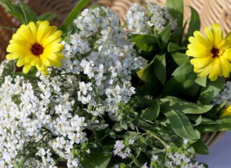 Im Kräutersammelkorb für den Monat August finden sich Ringelblume, Schafgarbe und Oregano.