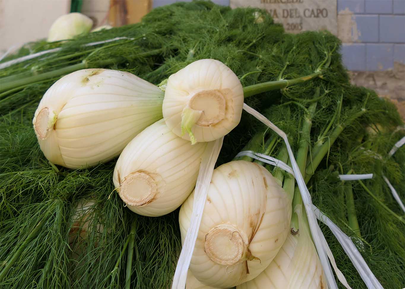 fenchel gemuese markt catania