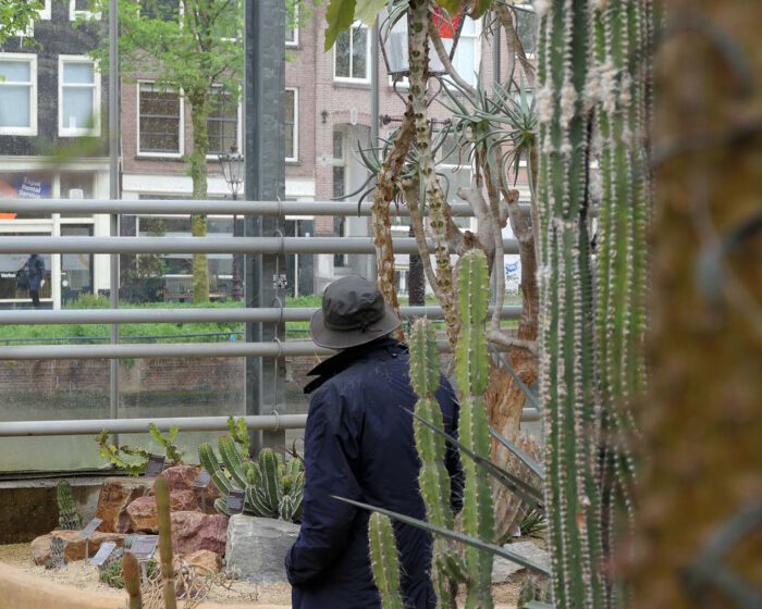 Ausblick auf die Grachten und die Sukkulenten im botanischen Garten De Hortus in Amsterdam.
