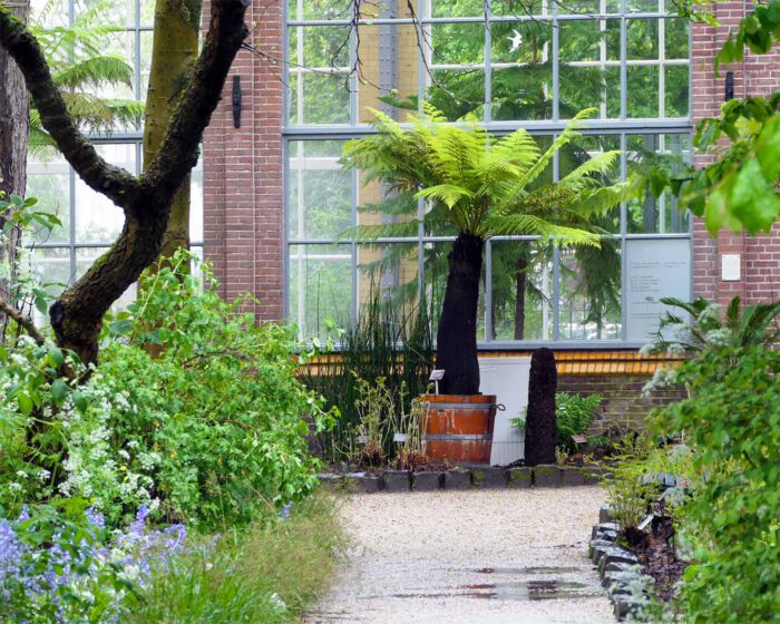 Palmenhaus des botanischen Gartens De Hortus an der Niewe Herengracht in Amsterdam.