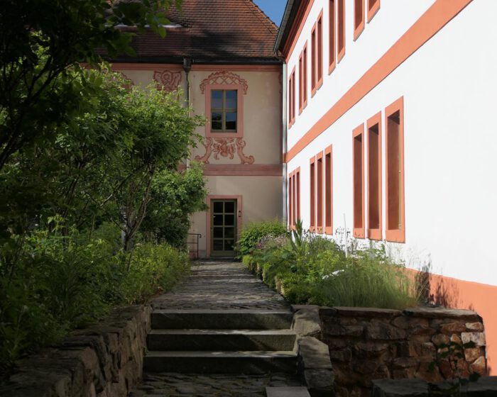 Garten der Bibelpflanzen im Morgenlicht, wenn die Sonne aus dem Osten scheint.