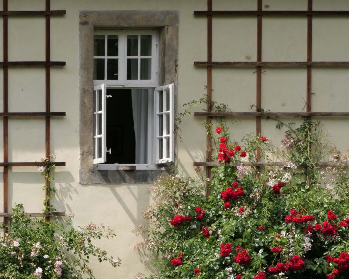 Sommerlicher Wind weht den Rosenduft durchs Kloster.