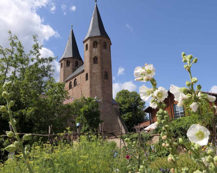 Weisse Malven vor den Türmen der Klosterkirche St. Vincent.