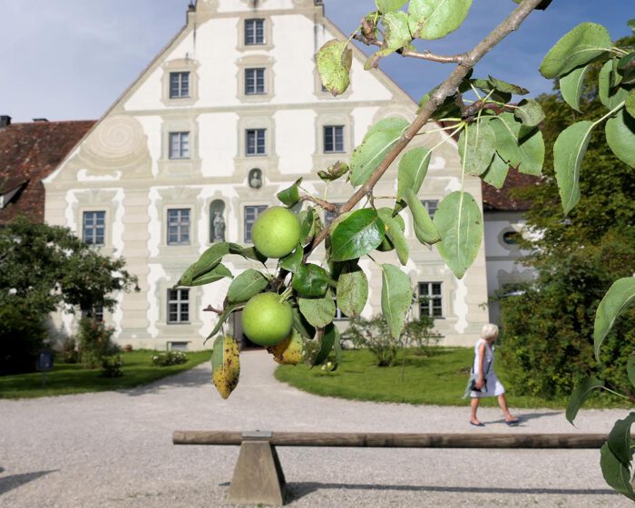 Die Äpfel fallen nicht weit vom Stamm. In diesem Fall nicht weit vom Maierhof.