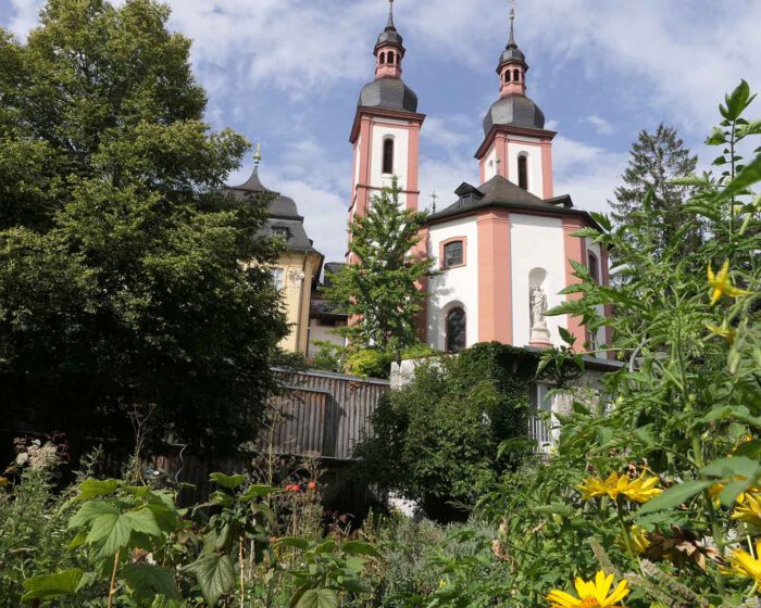 Blick aus dem Kräutergarten auf die sonnenbeschienene Klosterkirche der Franziskanerinnen von Oberzell.