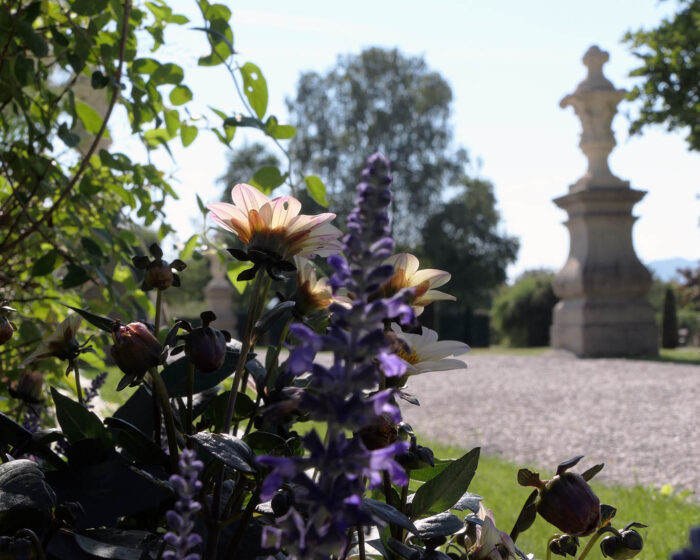 Rabattenhelden schmücken die Wegesränder im Hofgarten.