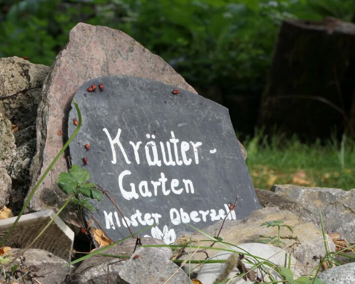 Kleiner steinerner Hinweis auf den Kräutergarten im Kloster Oberzell.