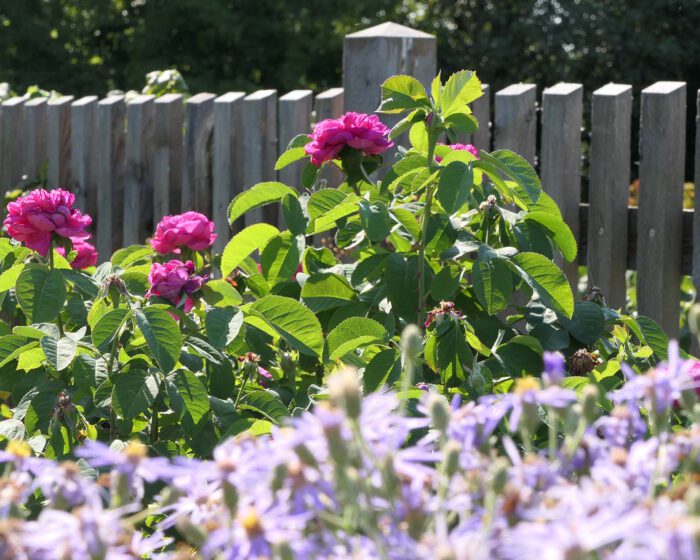 Zaun zum Bauerngarten in Seitenstetter Hofgarten.