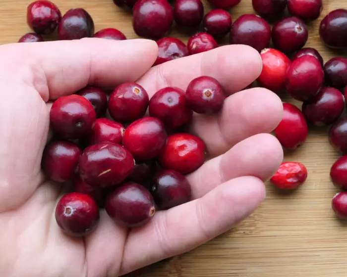 Cranberries gelten als das ultimative pflanzliche Heilmittel bei wiederkehrenden Blasenentzündungen.