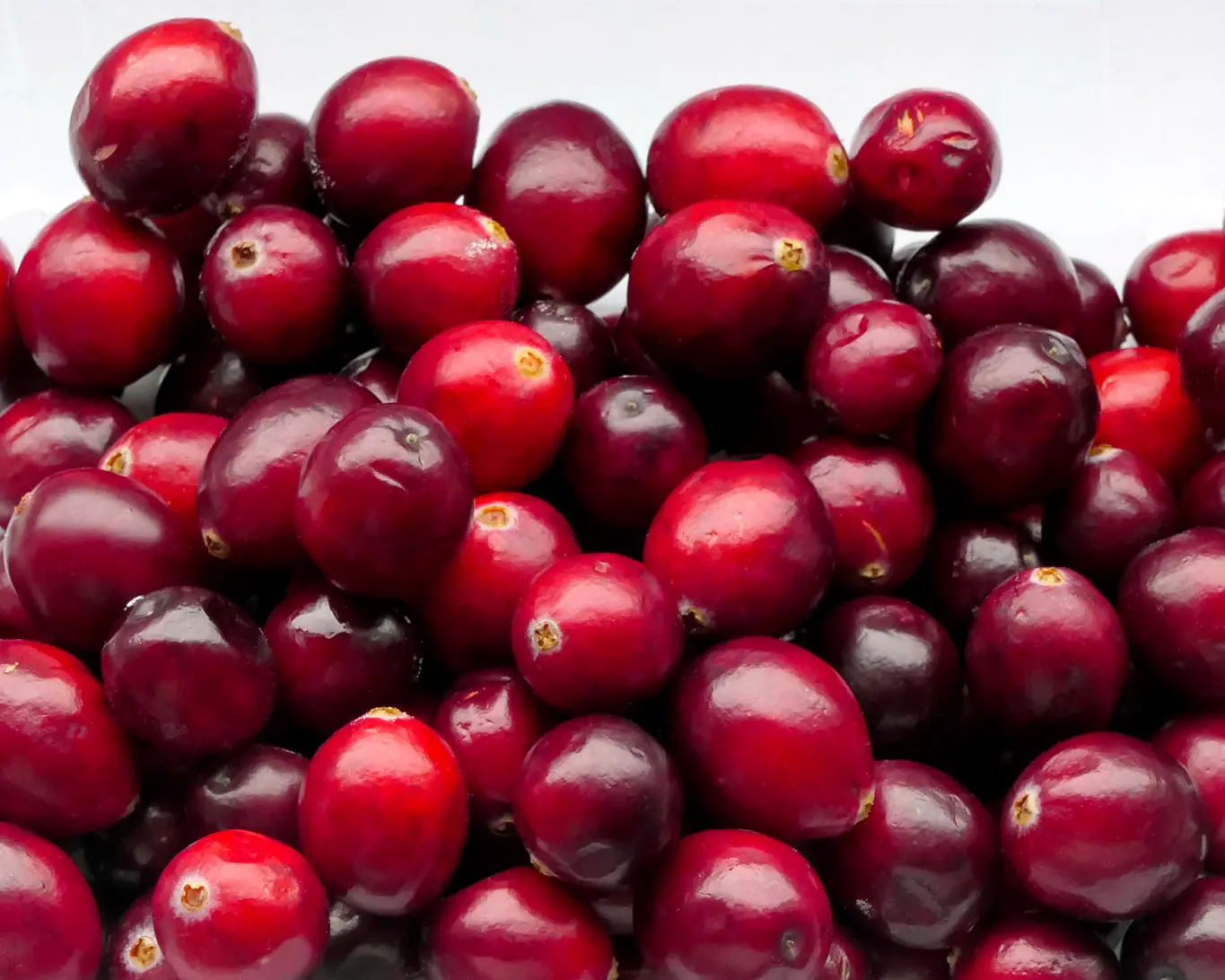 Herbstfrüchte mit herben Aroma und prophylaktischer Wirkung auf Blase und Harnwege gegen Infektionen ist die Cranberry.