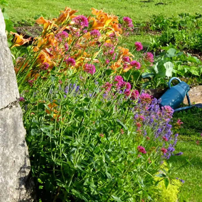 Wasserkanne und Blumen im Klostergarten Chalais de Voreppe