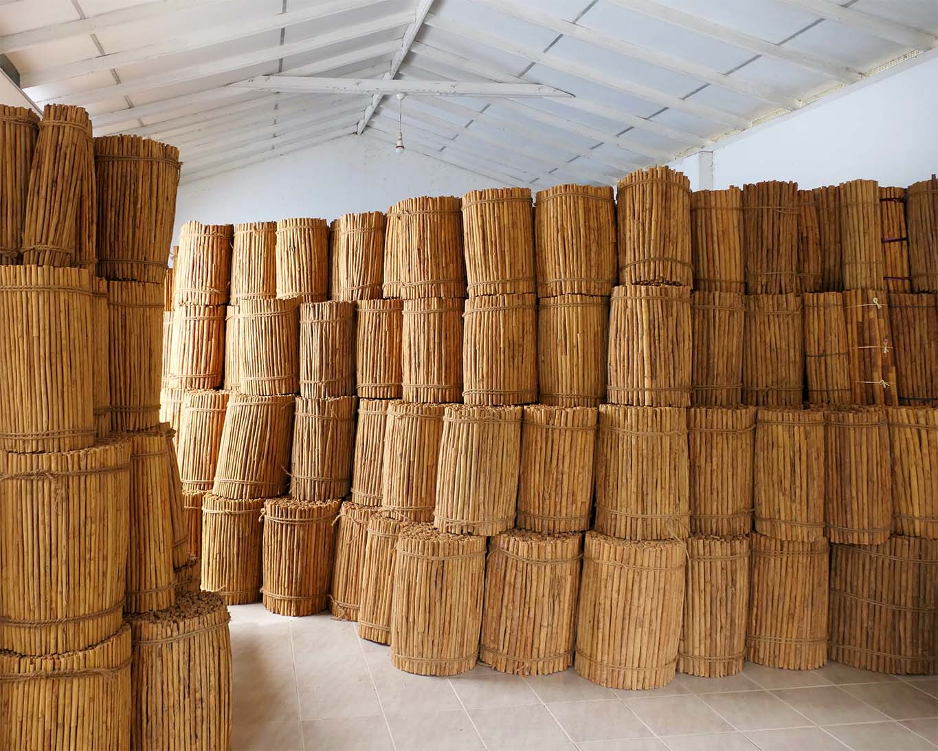 Lagerhalle der SLA Spice Ltd. in Koggala mit gestapelten und gebündeltem ceylonesischen Zimt bereit zum Export.