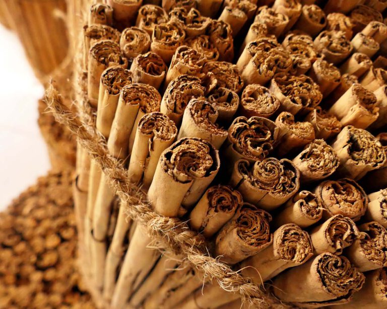 Ceylonesischer Zimt ist die Rinde des Echten Zimtstrauches (Cinnamom verum), der nach dem Trocknen zu Röllchen gewickelt wird. Er hat ein sanftes kräftiges Aroma.