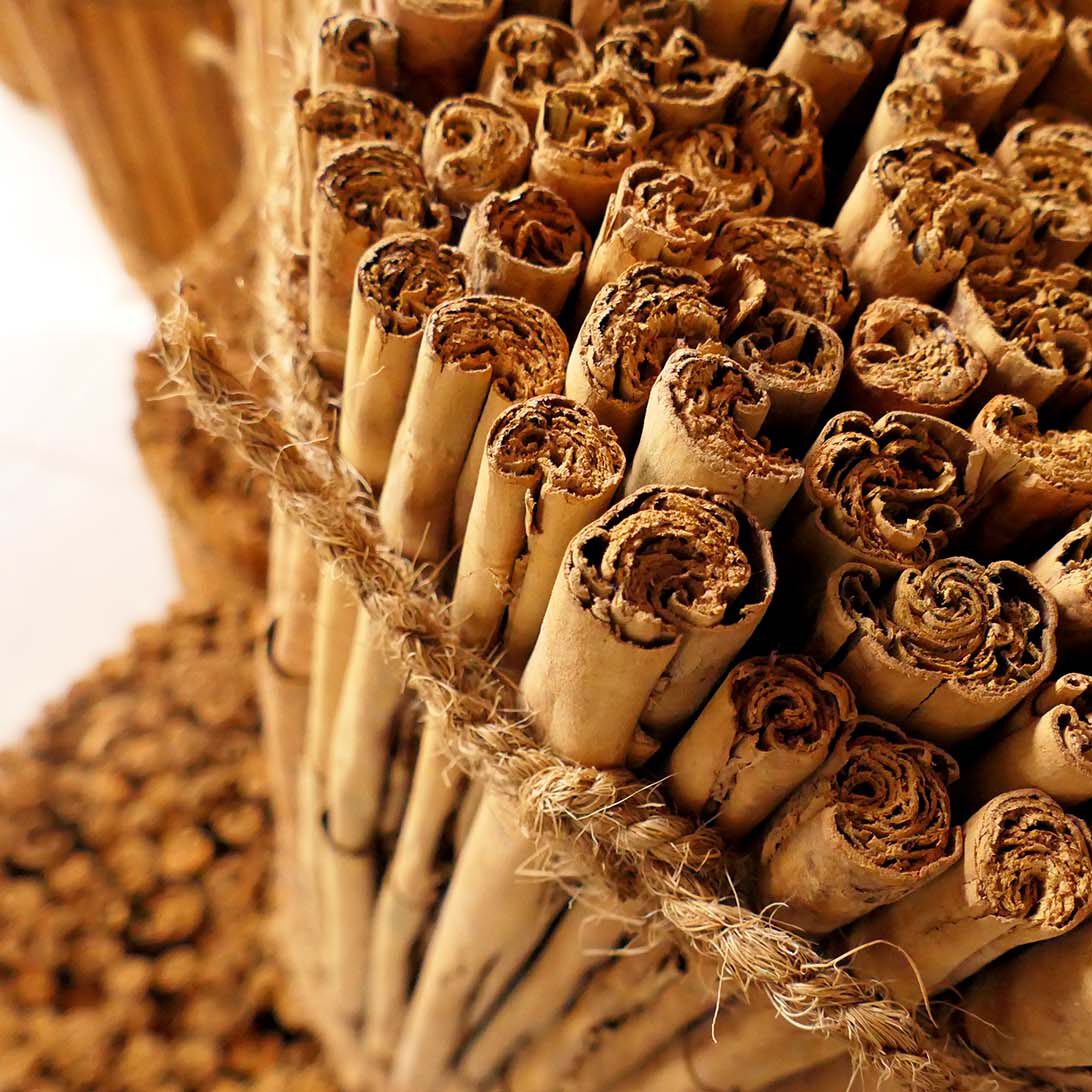 Ceylonesischer Zimt ist die Rinde des Echten Zimtstrauches (Cinnamom verum), der nach dem Trocknen zu Röllchen gewickelt wird. Er hat ein sanftes kräftiges Aroma.