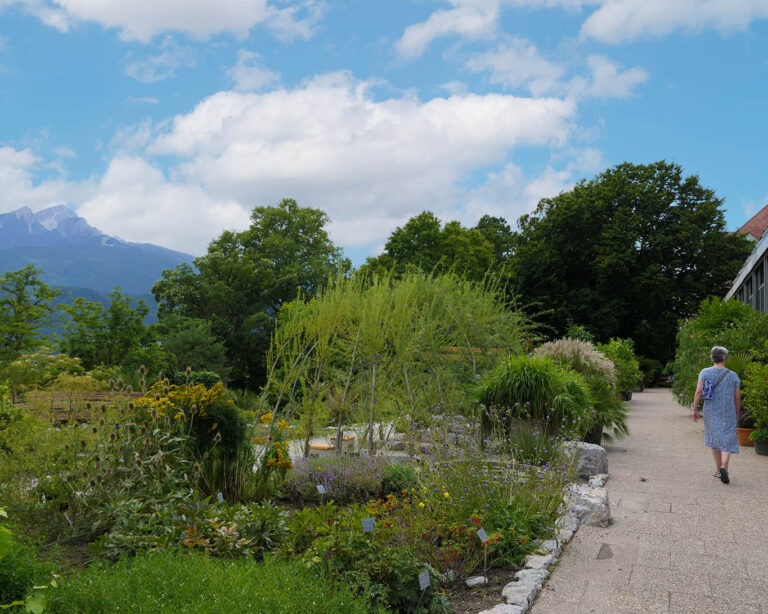 Schön ist zu wandeln auf kiesbestreuten Wegen unter Palmen und uralten Bäumen mit Blick auf die Tiroler Alpen.