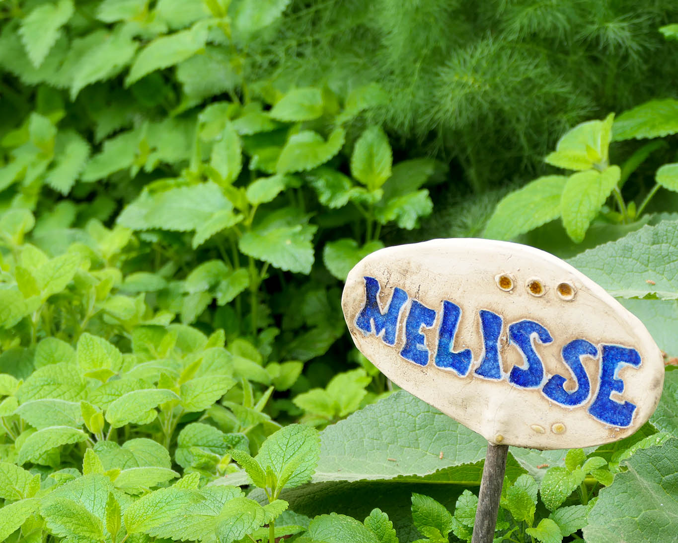 Die Kräuterbeete sind eine Spezialität von Schwester Martina, die sich um den Klostergarten kümmert.