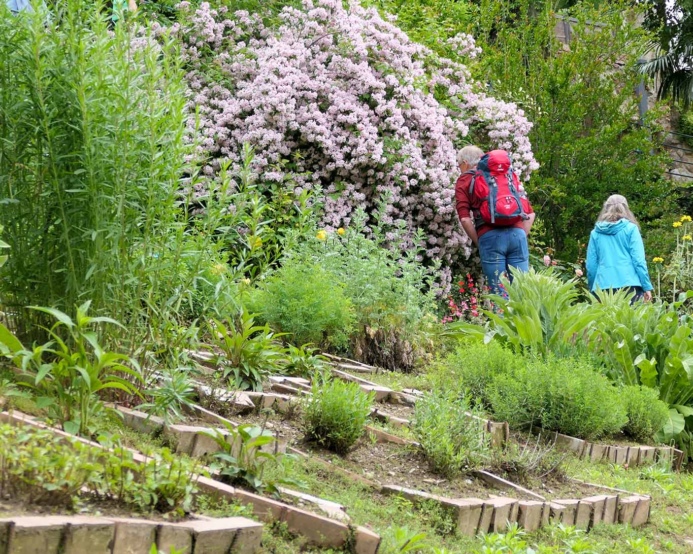 Interessierte Besucher kraxeln an den Hängen des Orto delle erbe aromatici in Merano um Kräuter zu entdecken.