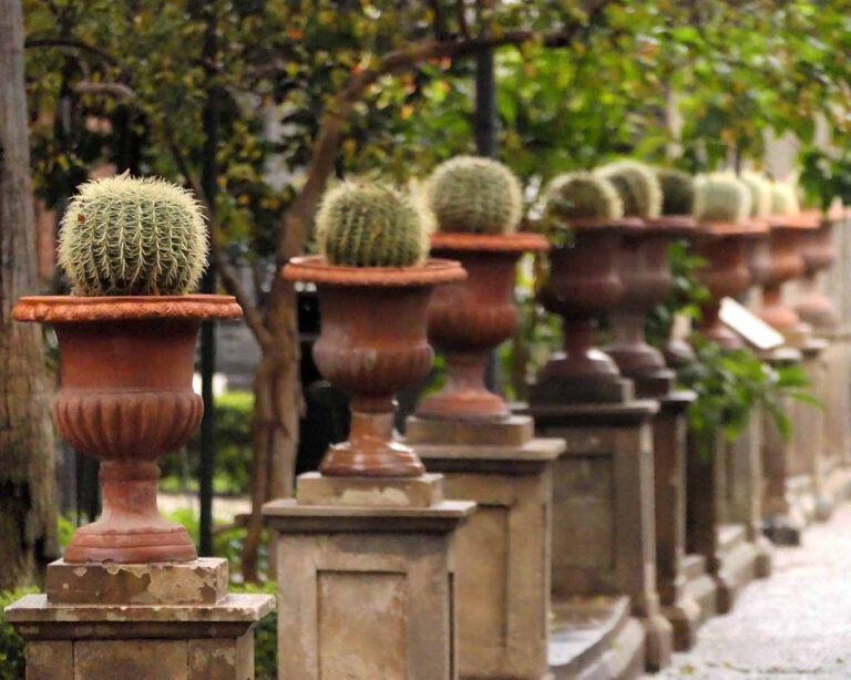 Sizilianer können stachelig sein. Jeder auf seine Art. Eindrucksvoll demonstrieren dass die Kakteen in den Vasen des Orto Botanico dell’Università di Catania.