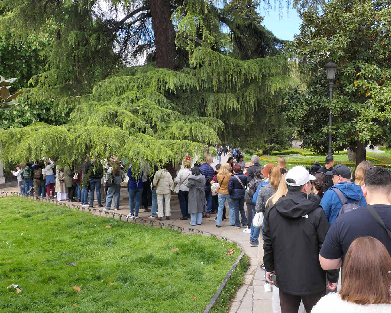 Eindrücklich ist die Zahl der Wartenden, die gerne im Real Jardin Botanico Madrid Blümchen gucken wollen.