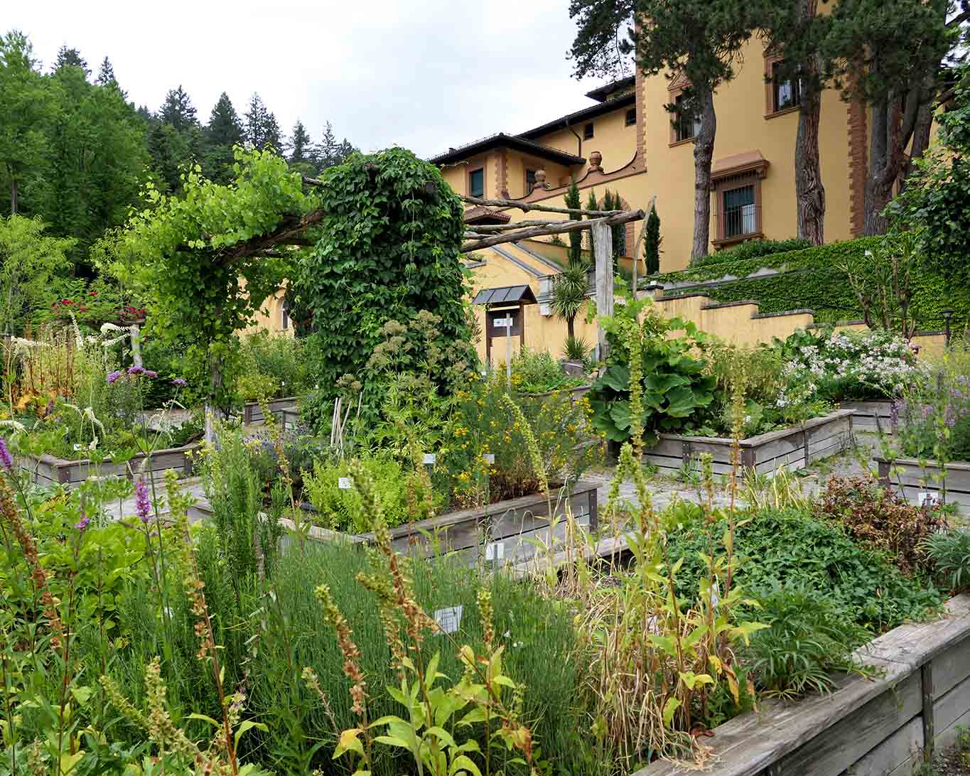 Legendär ist der Kräutergarten der Benediktinerinnen von St. Lioba in Freiburg.